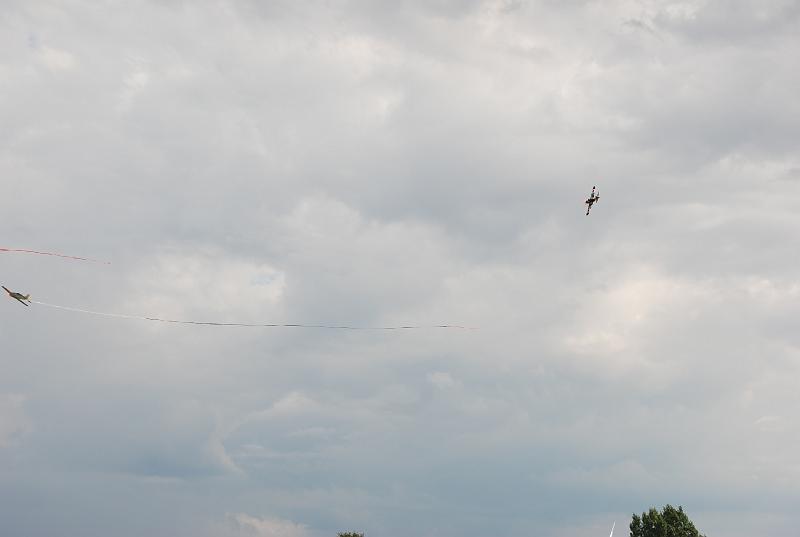 DSC_0502.JPG