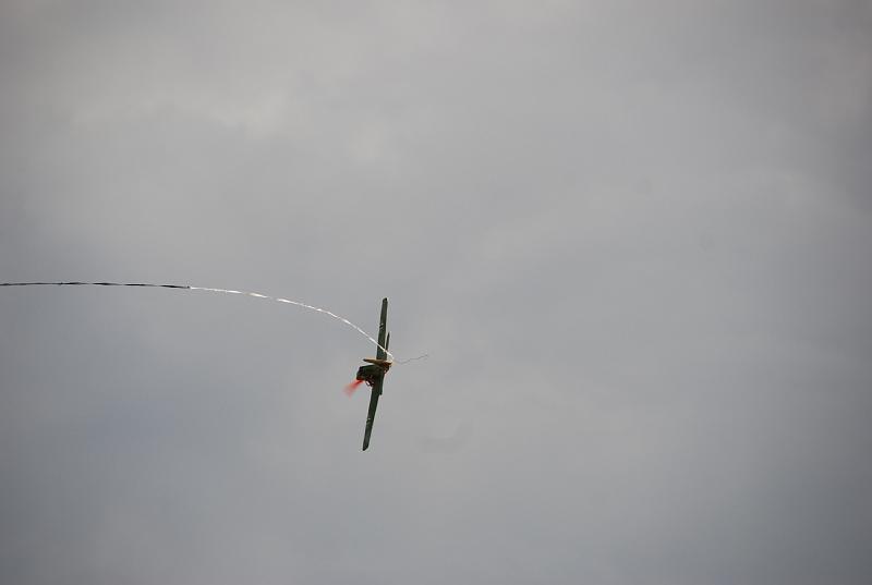 DSC_0530.JPG