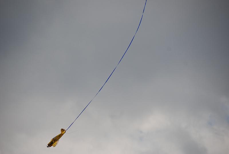 DSC_0571.JPG