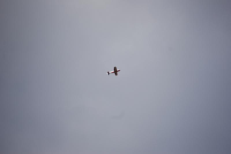 DSC_0039.JPG