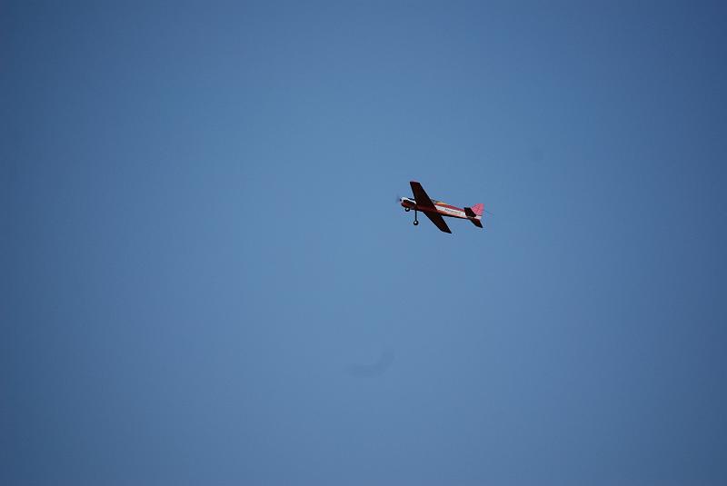 DSC_0129.JPG