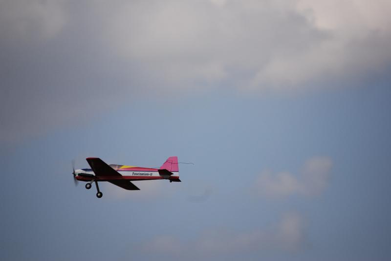 DSC_0145.JPG