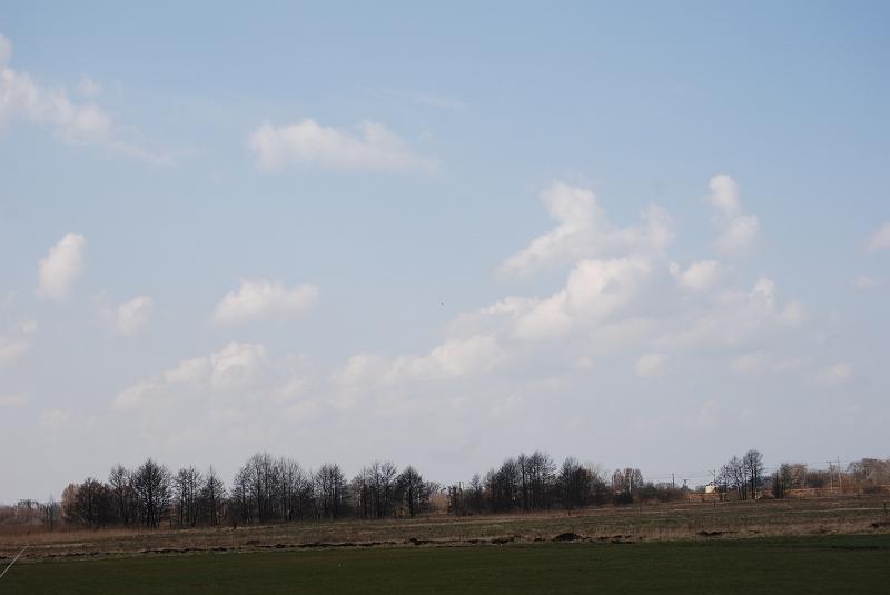 DSC_0153.JPG