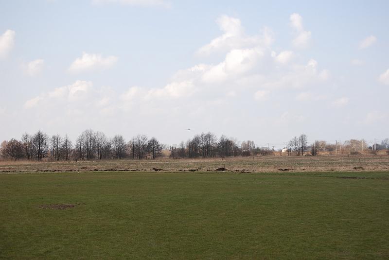 DSC_0155.JPG