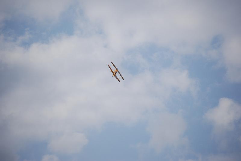 DSC_0179.JPG