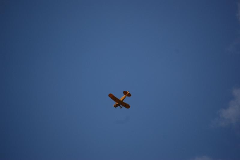 DSC_0196.JPG