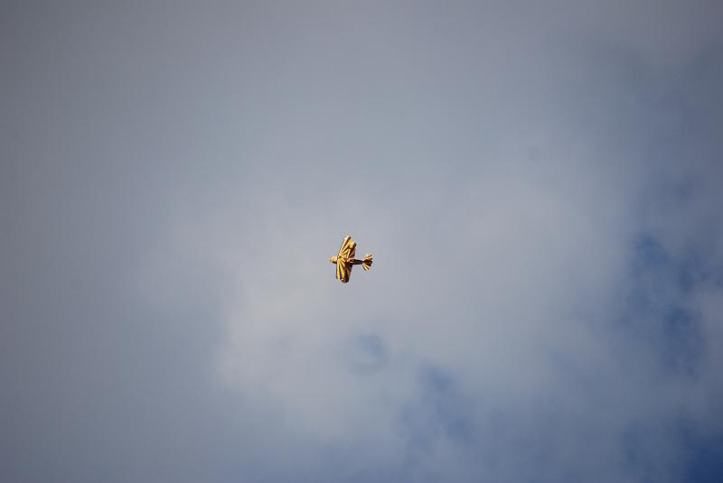 DSC_0202.JPG