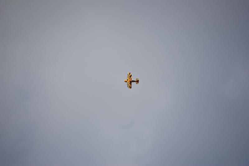 DSC_0203.JPG