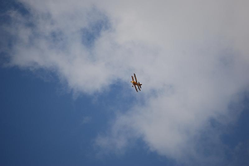 DSC_0206.JPG