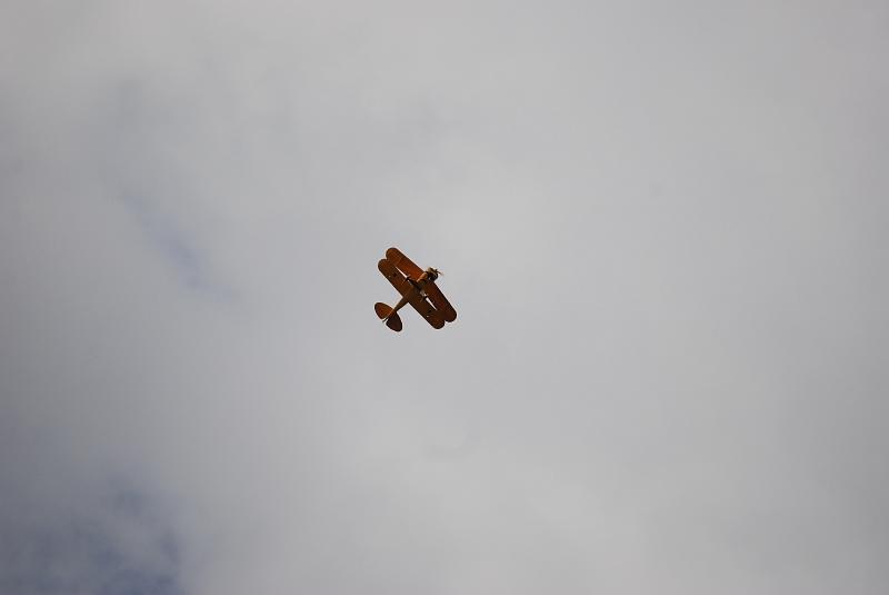 DSC_0209.JPG