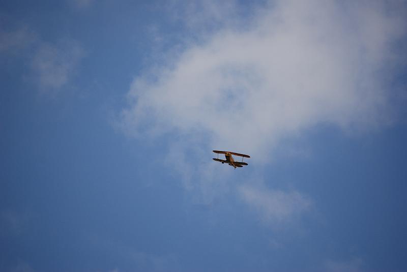 DSC_0210.JPG