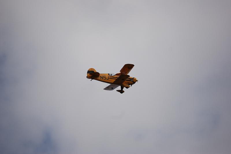 DSC_0217.JPG