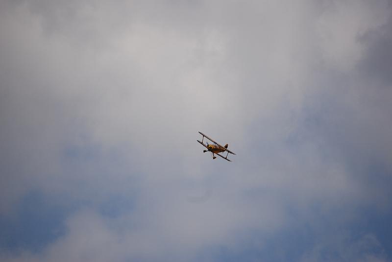 DSC_0222.JPG