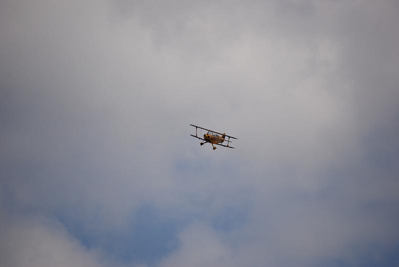 DSC_0223.JPG