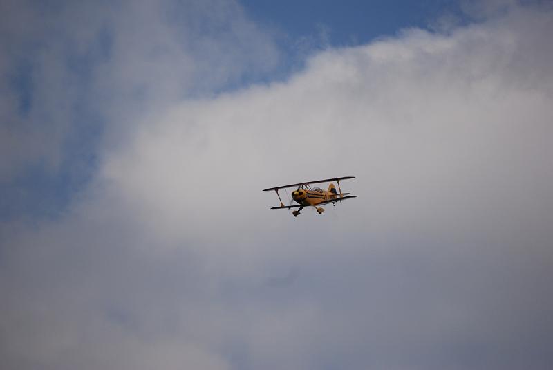 DSC_0225.JPG