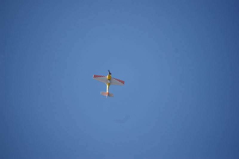 DSC_0256.JPG