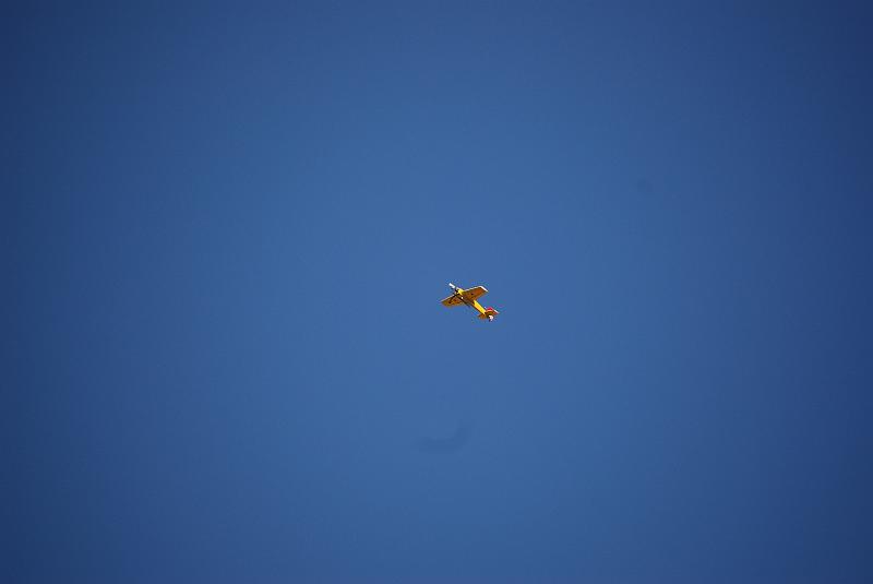 DSC_0265.JPG