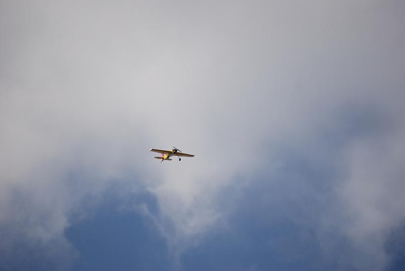 DSC_0266.JPG