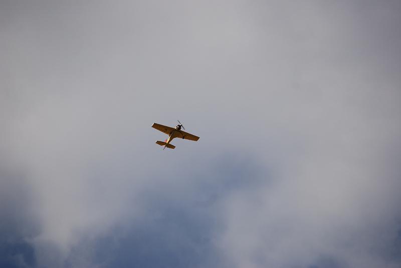 DSC_0267.JPG
