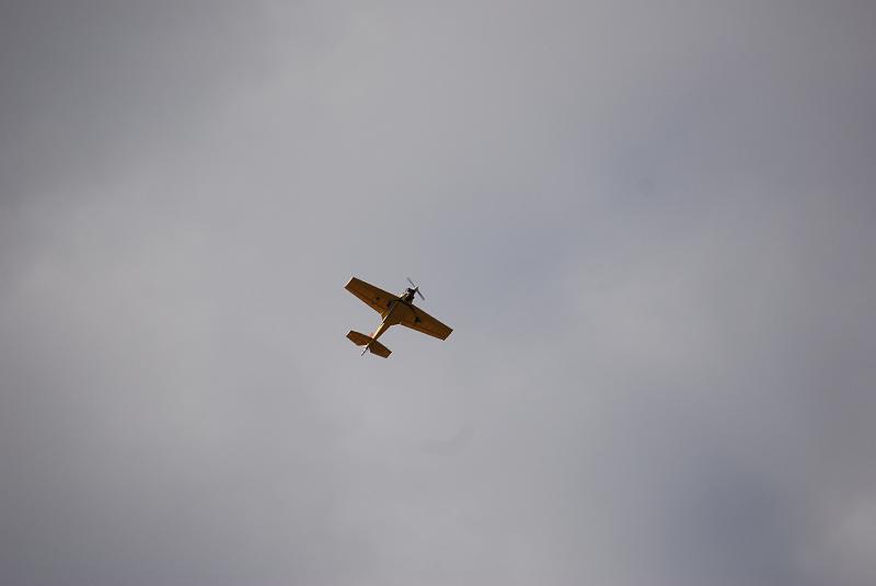 DSC_0268.JPG