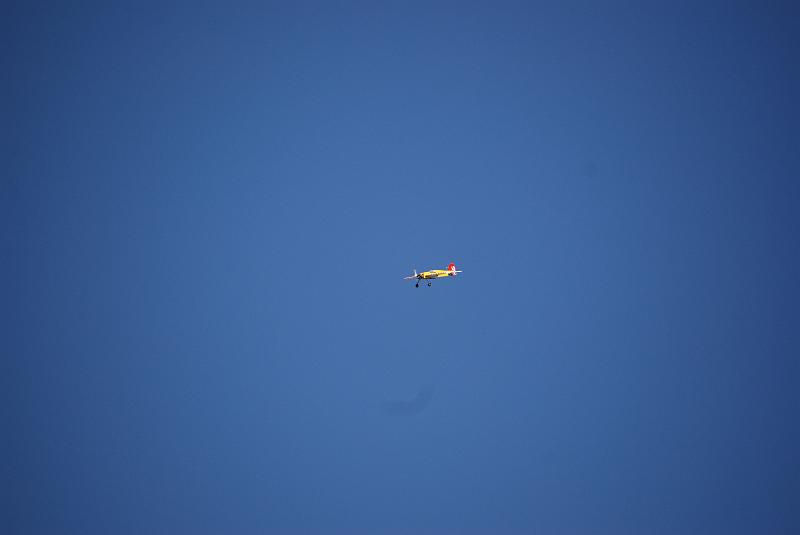 DSC_0272.JPG