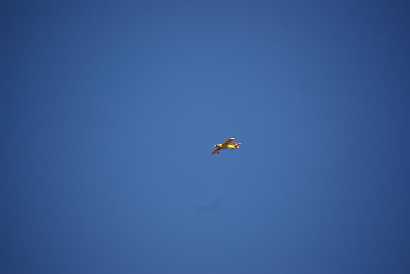 DSC_0273.JPG