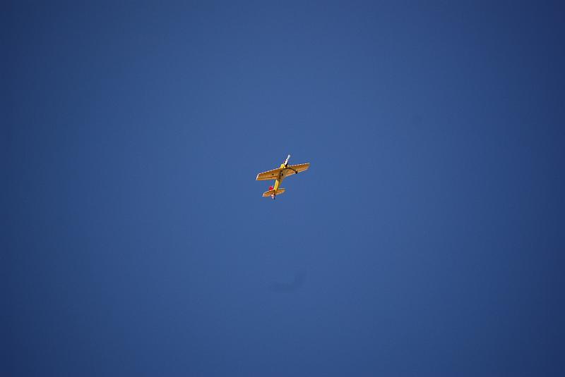 DSC_0280.JPG