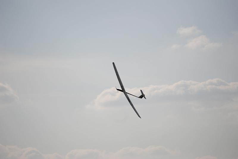DSC_0305.JPG