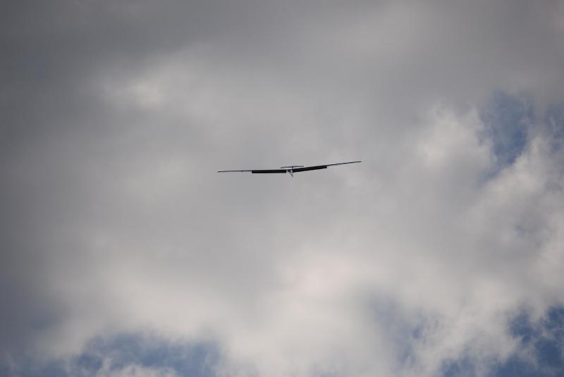DSC_0313.JPG