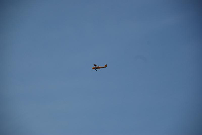 DSC_0028.JPG