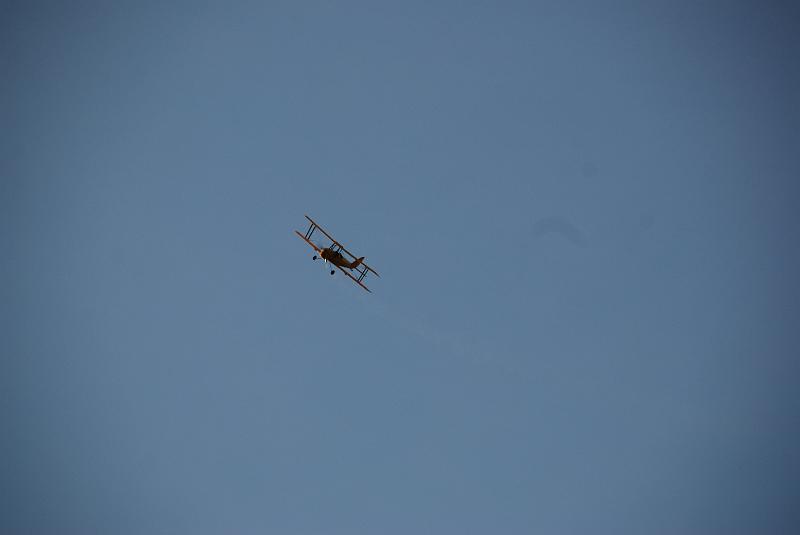 DSC_0029.JPG