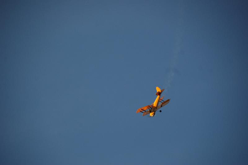DSC_0031.JPG