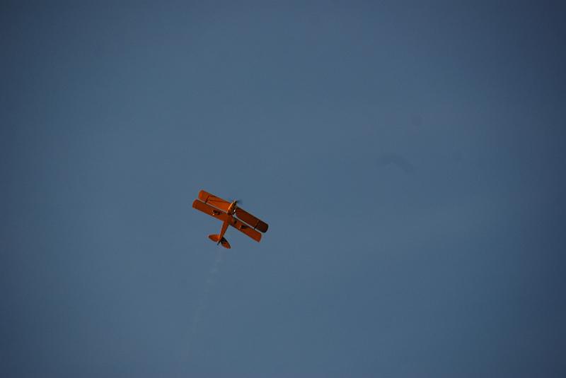 DSC_0033.JPG