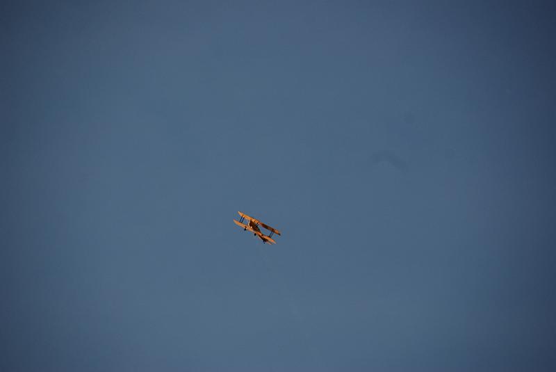 DSC_0037.JPG