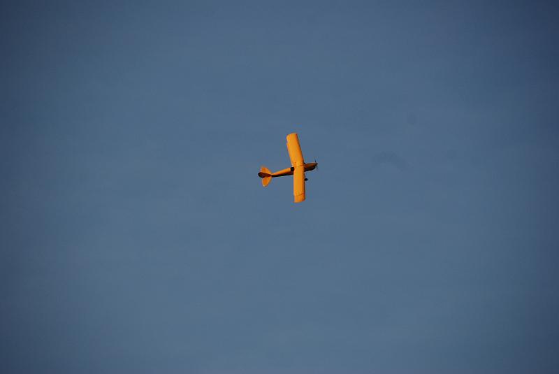 DSC_0085.JPG