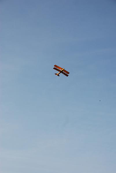 DSC_0100.JPG