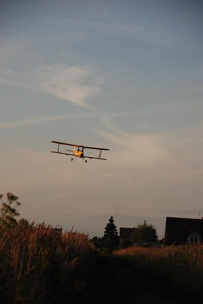 DSC_0103.JPG