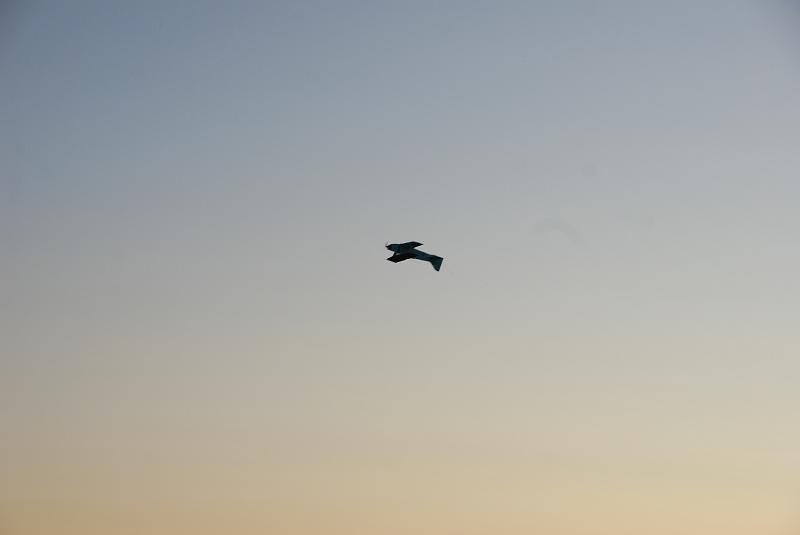 DSC_0099.JPG