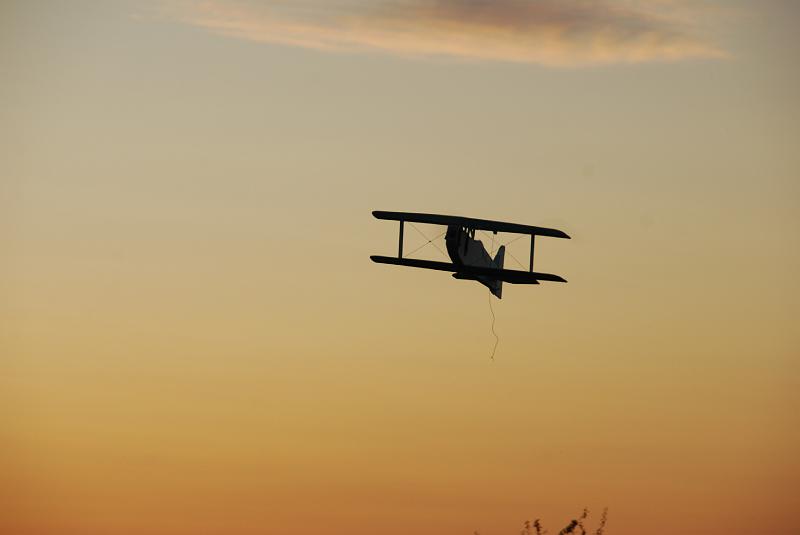 DSC_0142.JPG